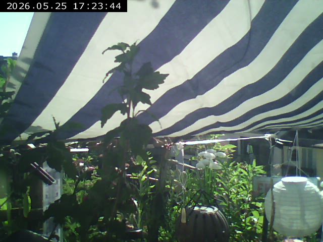 livebild m�nchen/au