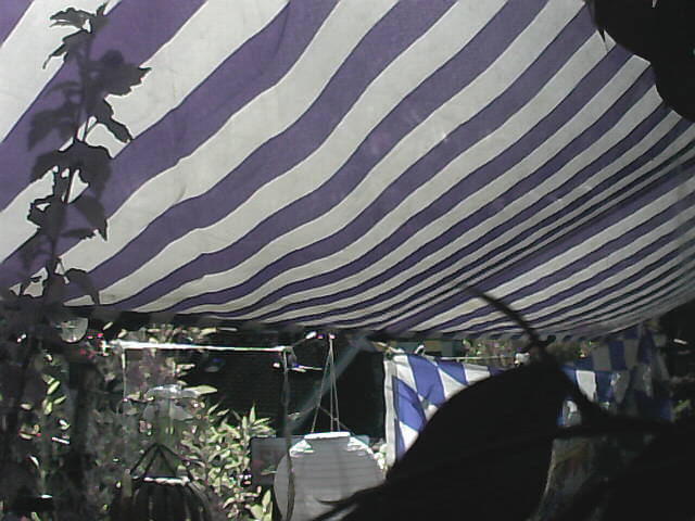 livebild m�nchen/au